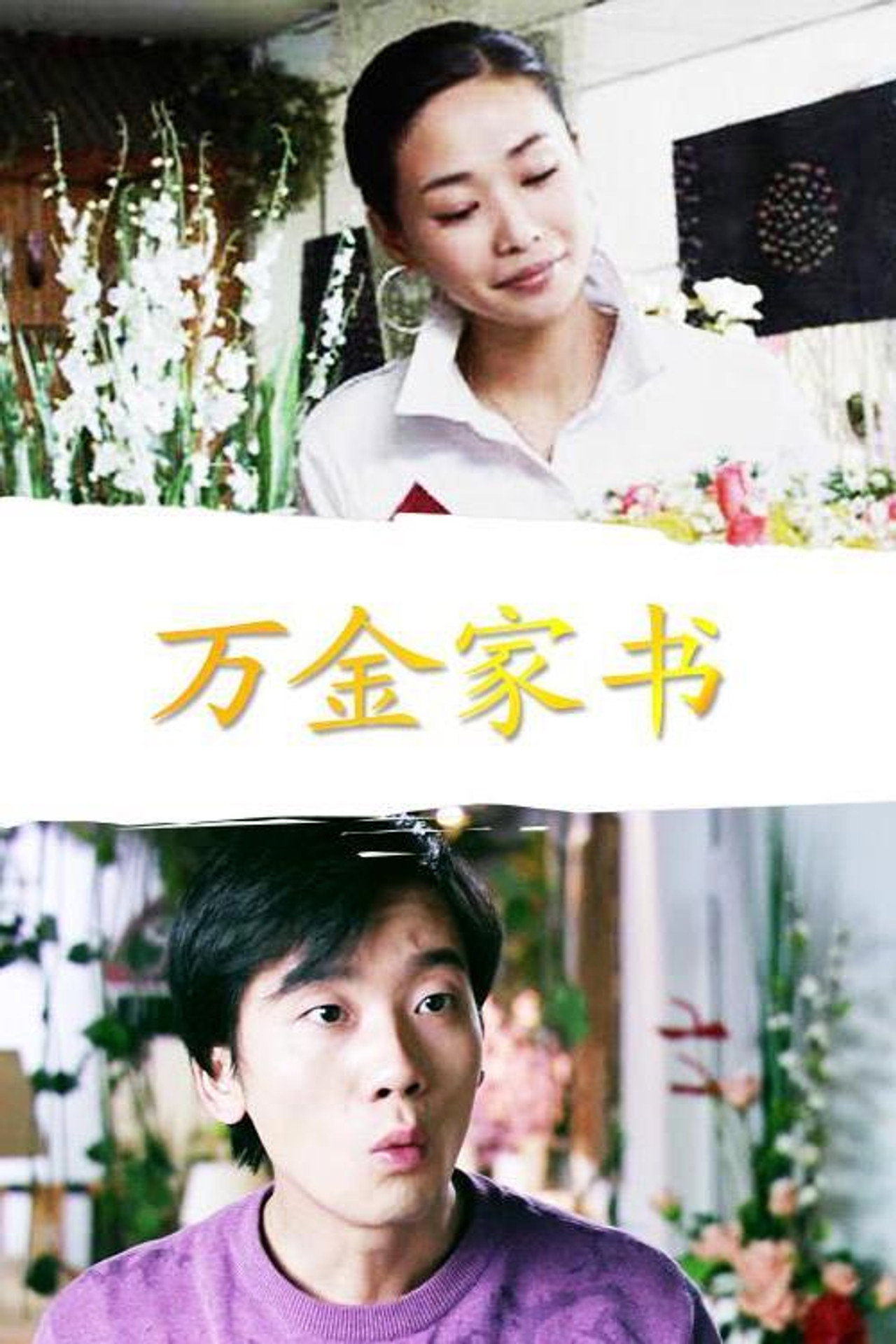 万金家书 filmaffisch