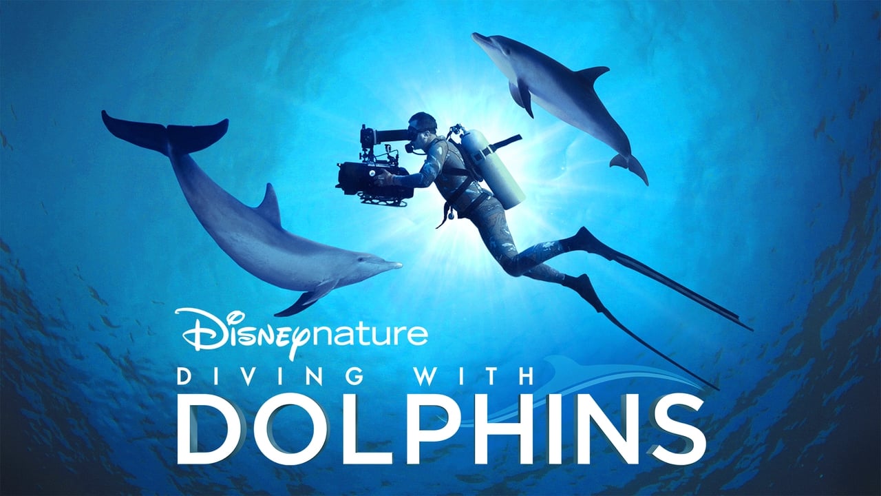 Diving with Dolphins background