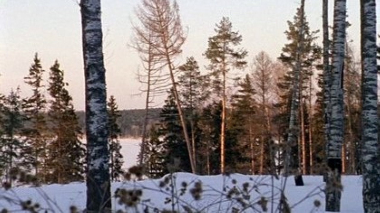Avsnitt 10 bakgrundsbild