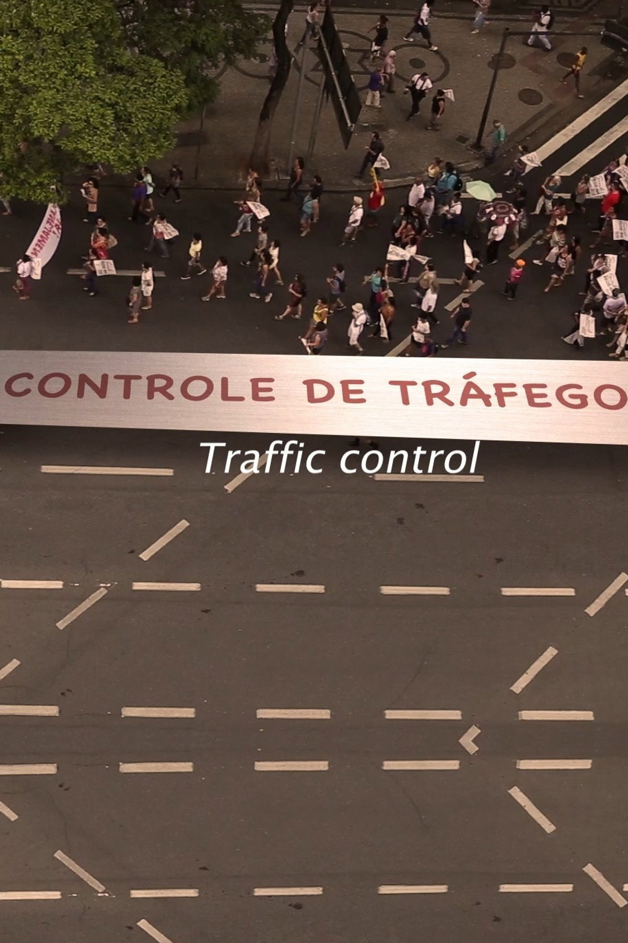 Controle de Tráfego