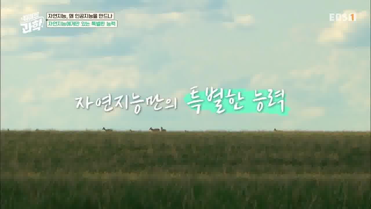 취미는 과학 - Season 1 Episode 7 : Episode 7