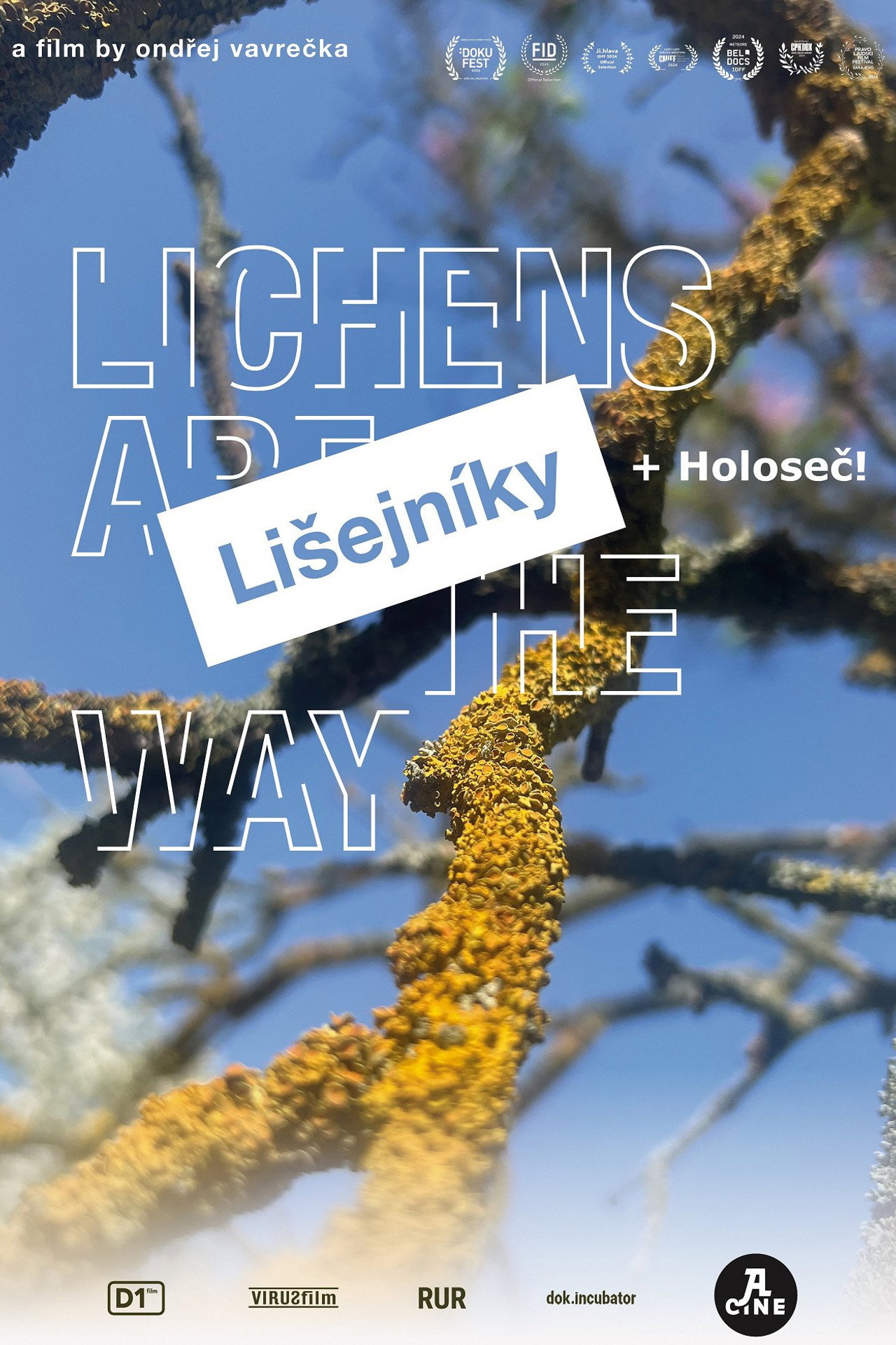 Lichens Are the Way