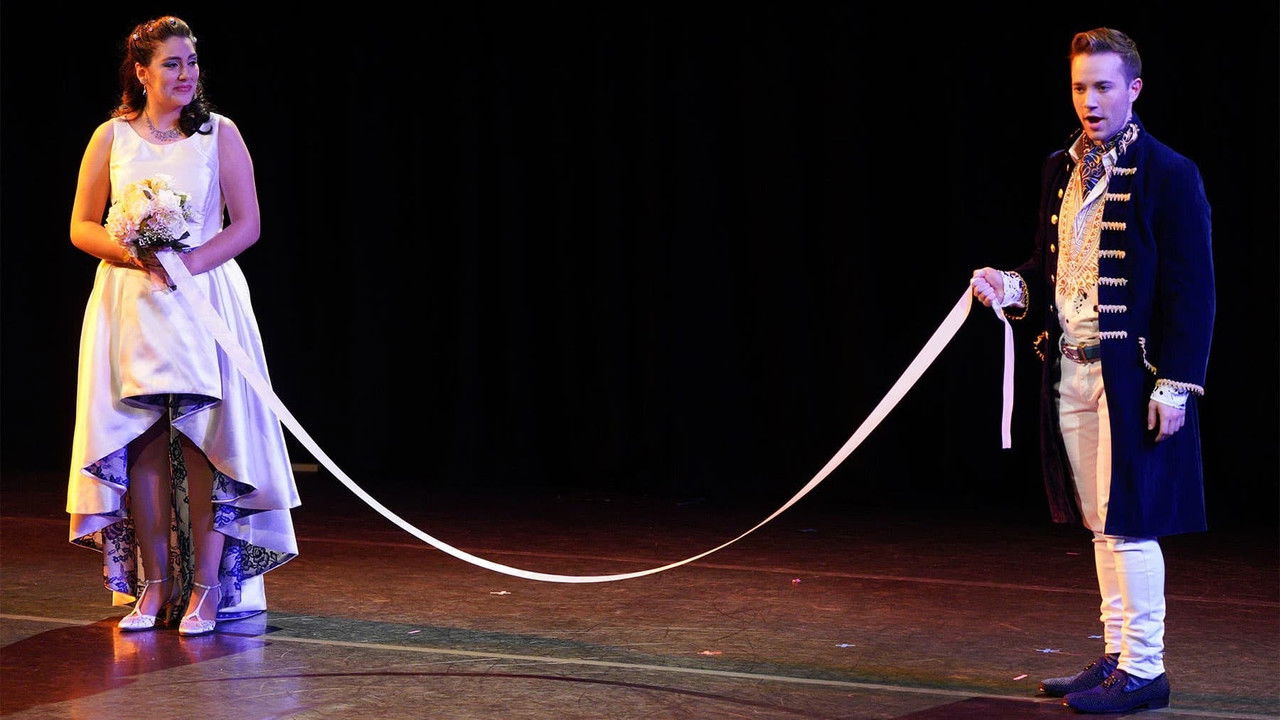 The Anonymous Lover — LA Opera backdrop