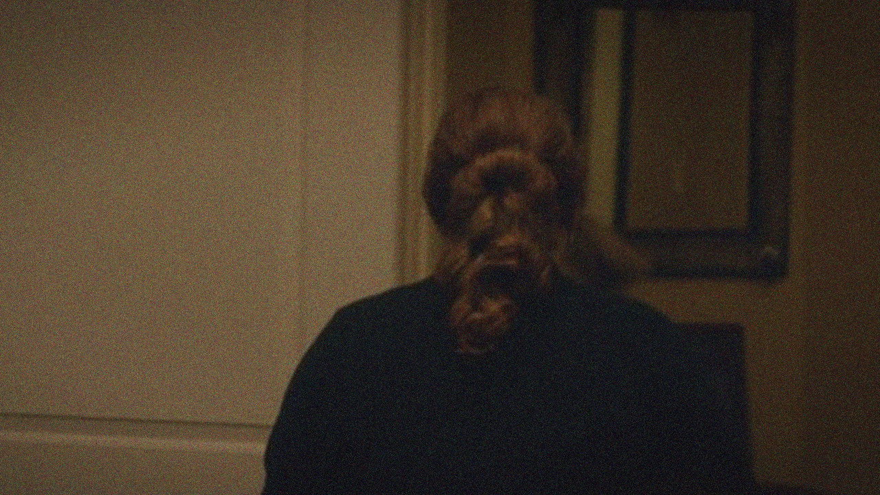 Captain Fantastic background 36