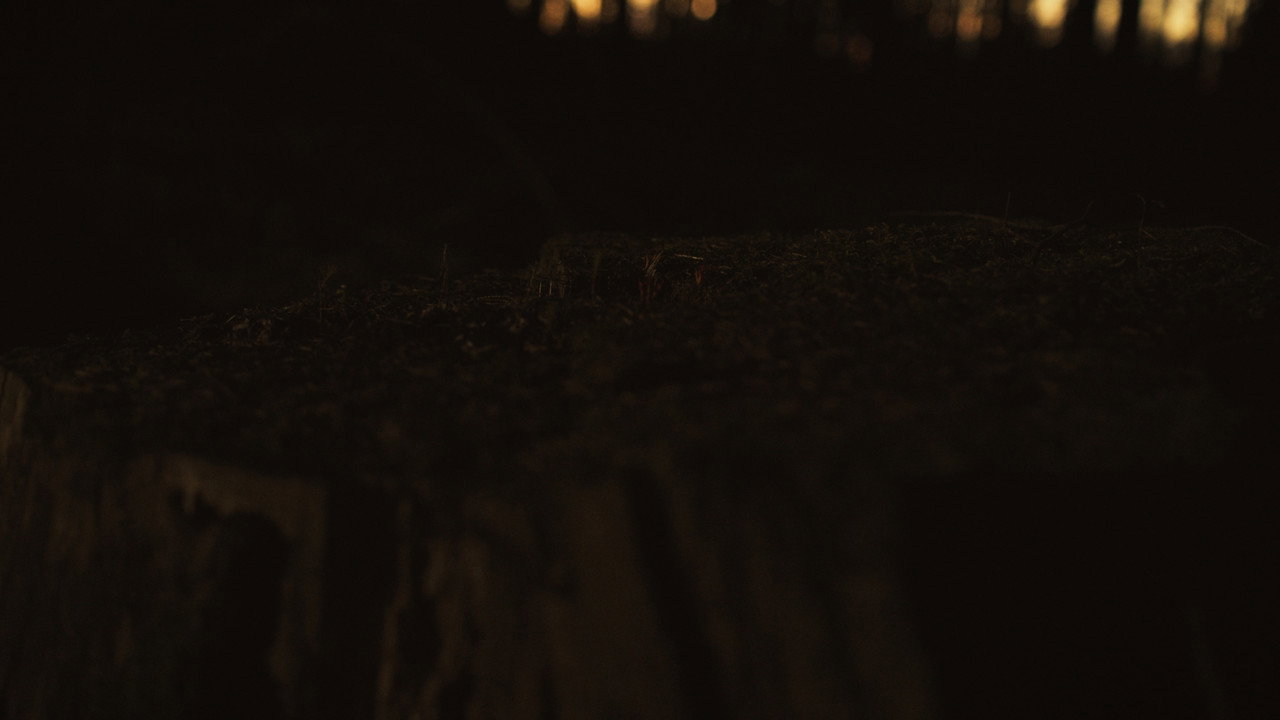 The Hunting Blind still 5
