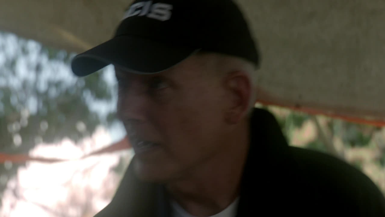 NCIS - Season 12 Episode 6 : Parental Guidance Suggested