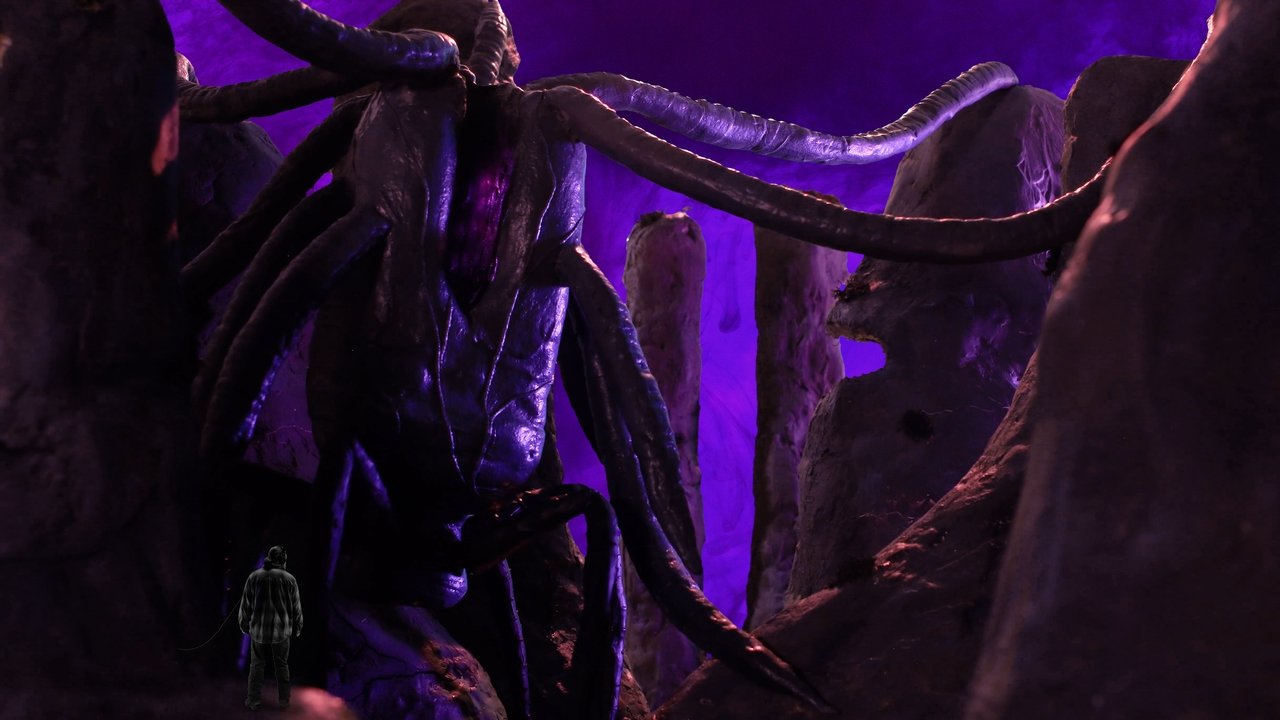 The Madness in the Grooves