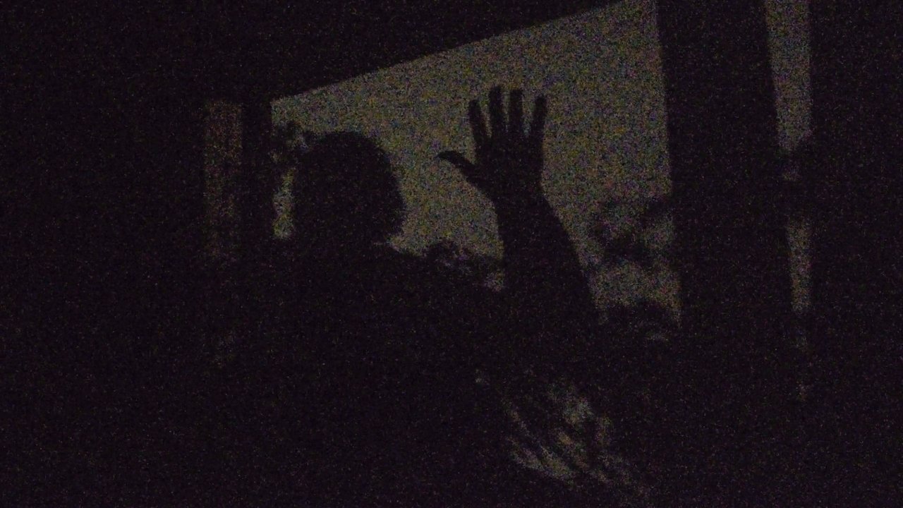 A garden of shadows