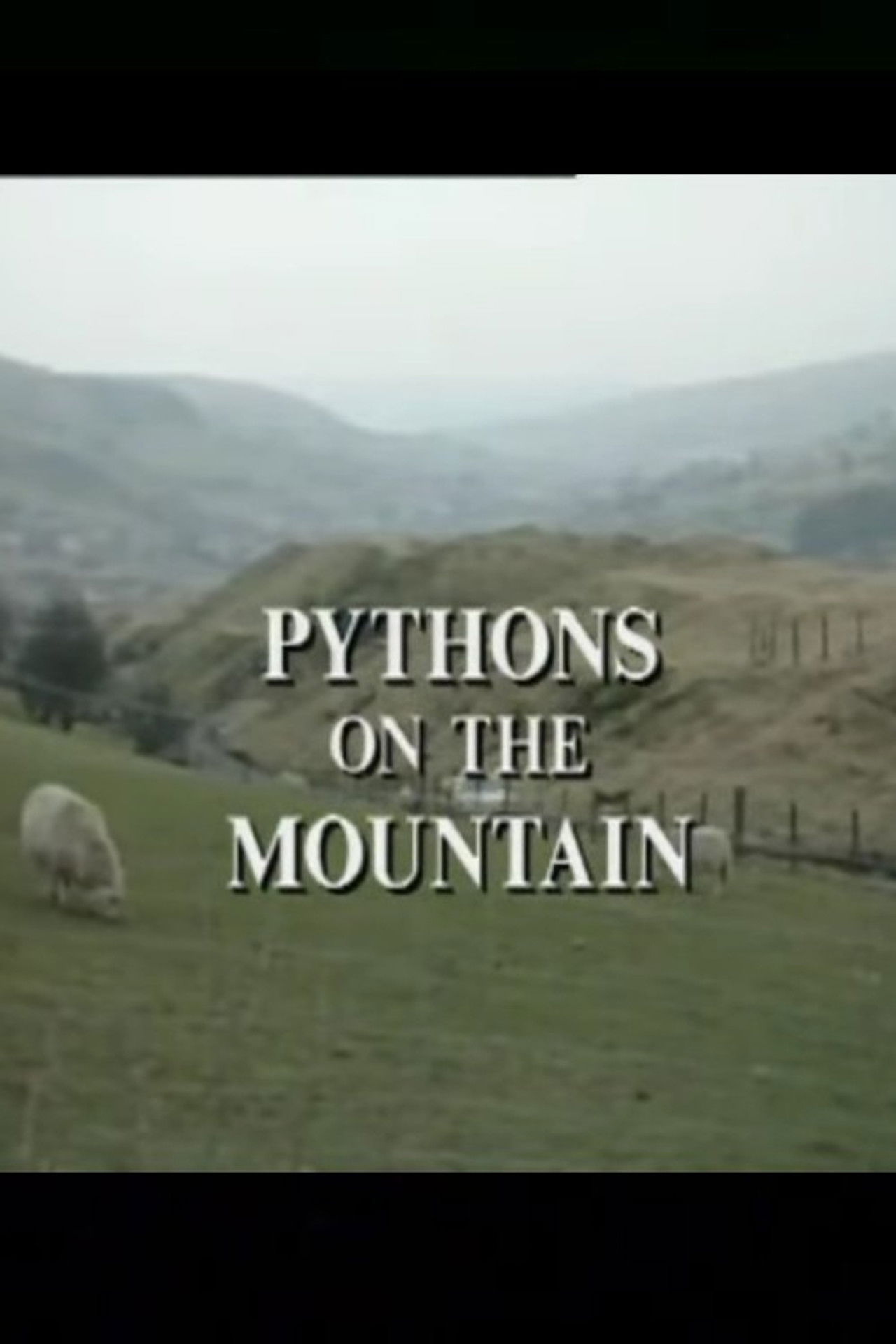 Pythons on the Mountain Backdrop