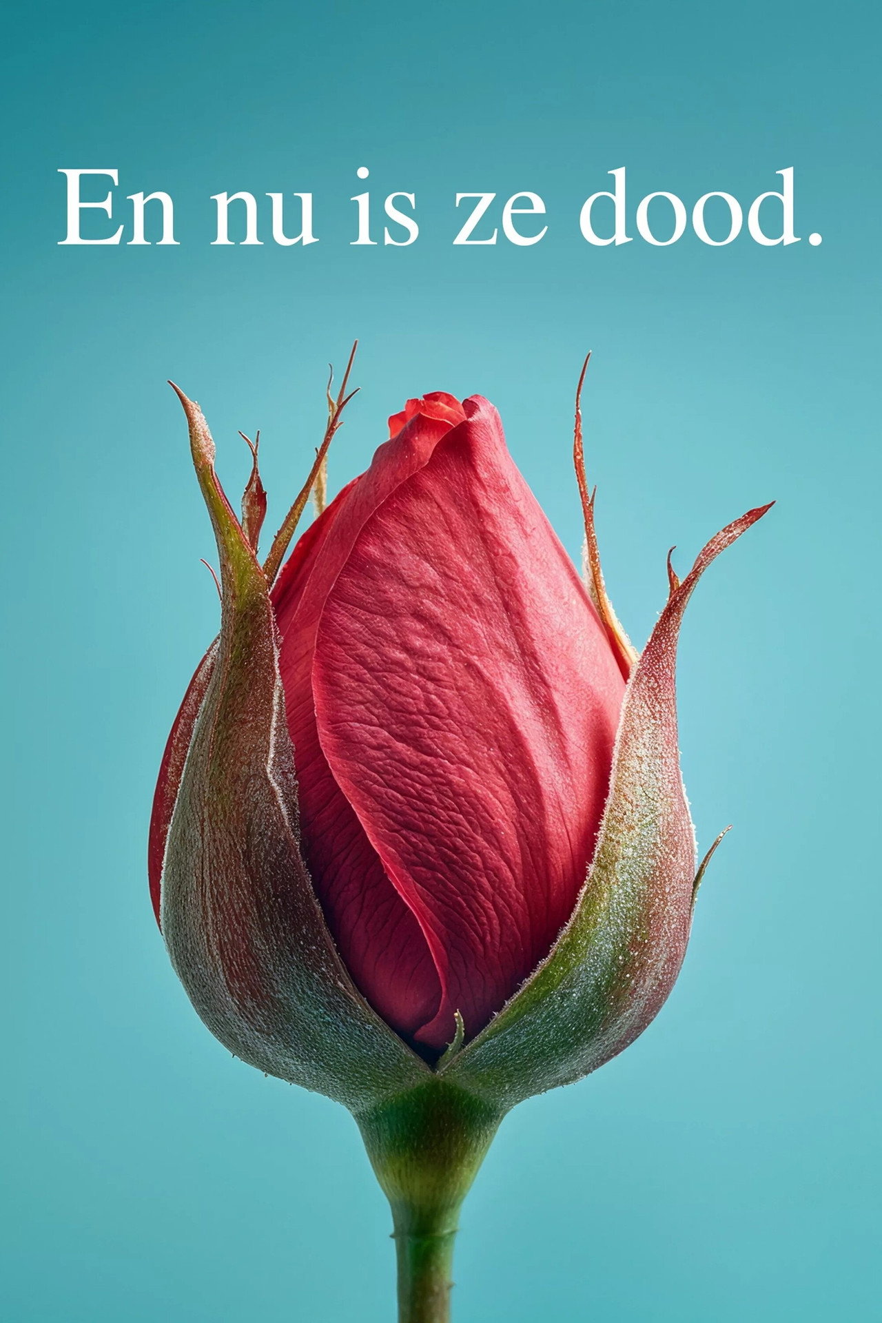 En nu is ze dood. affisch