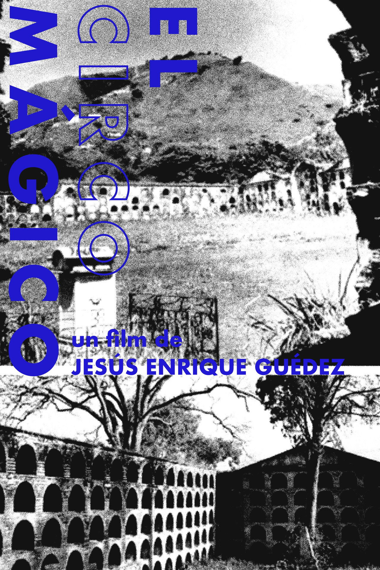 El circo mágico Backdrop