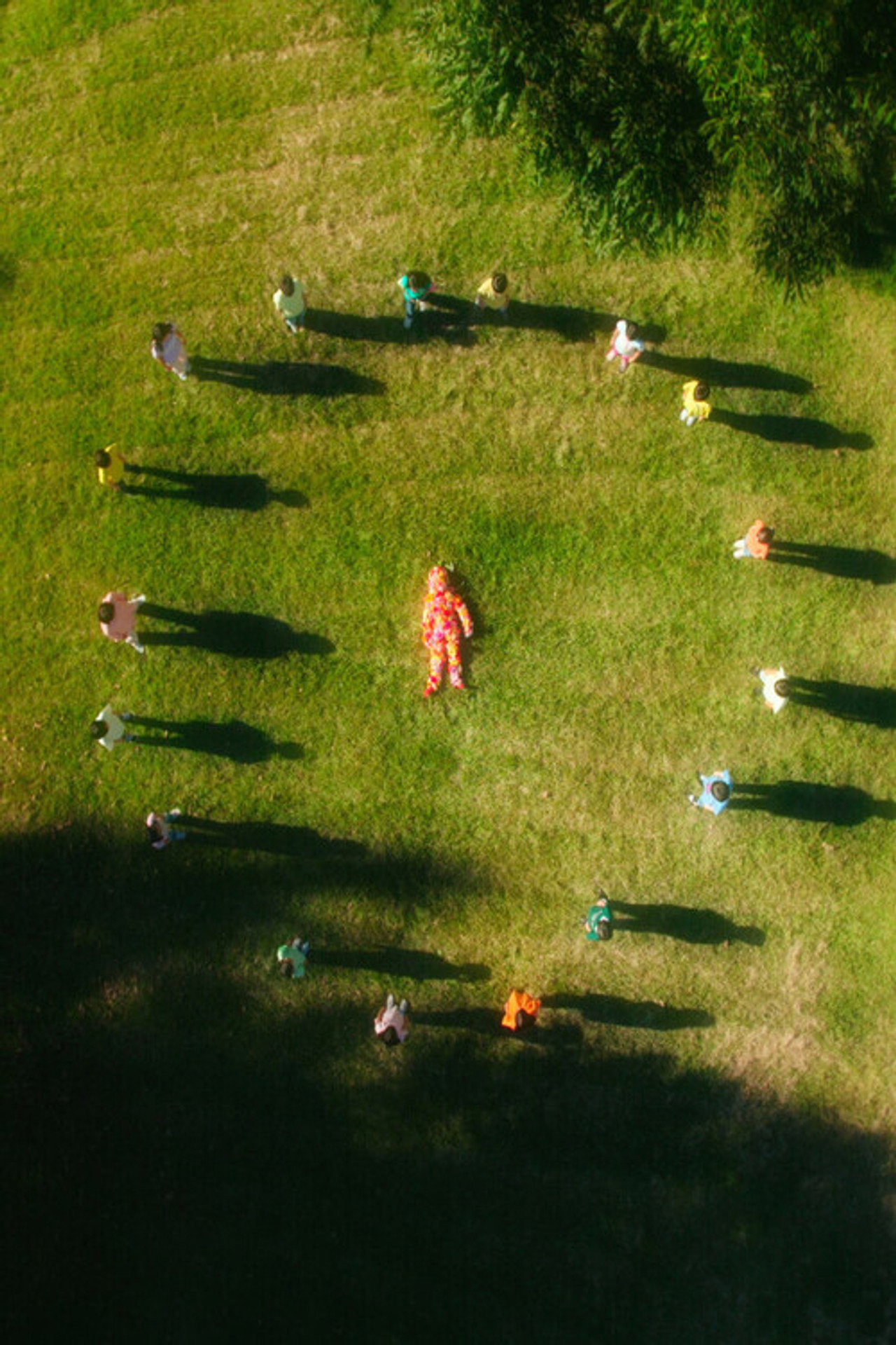 체화 filmaffisch