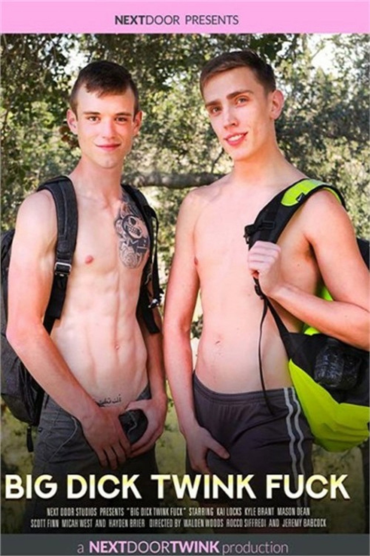 Big Dick Twink Fuck filmaffisch