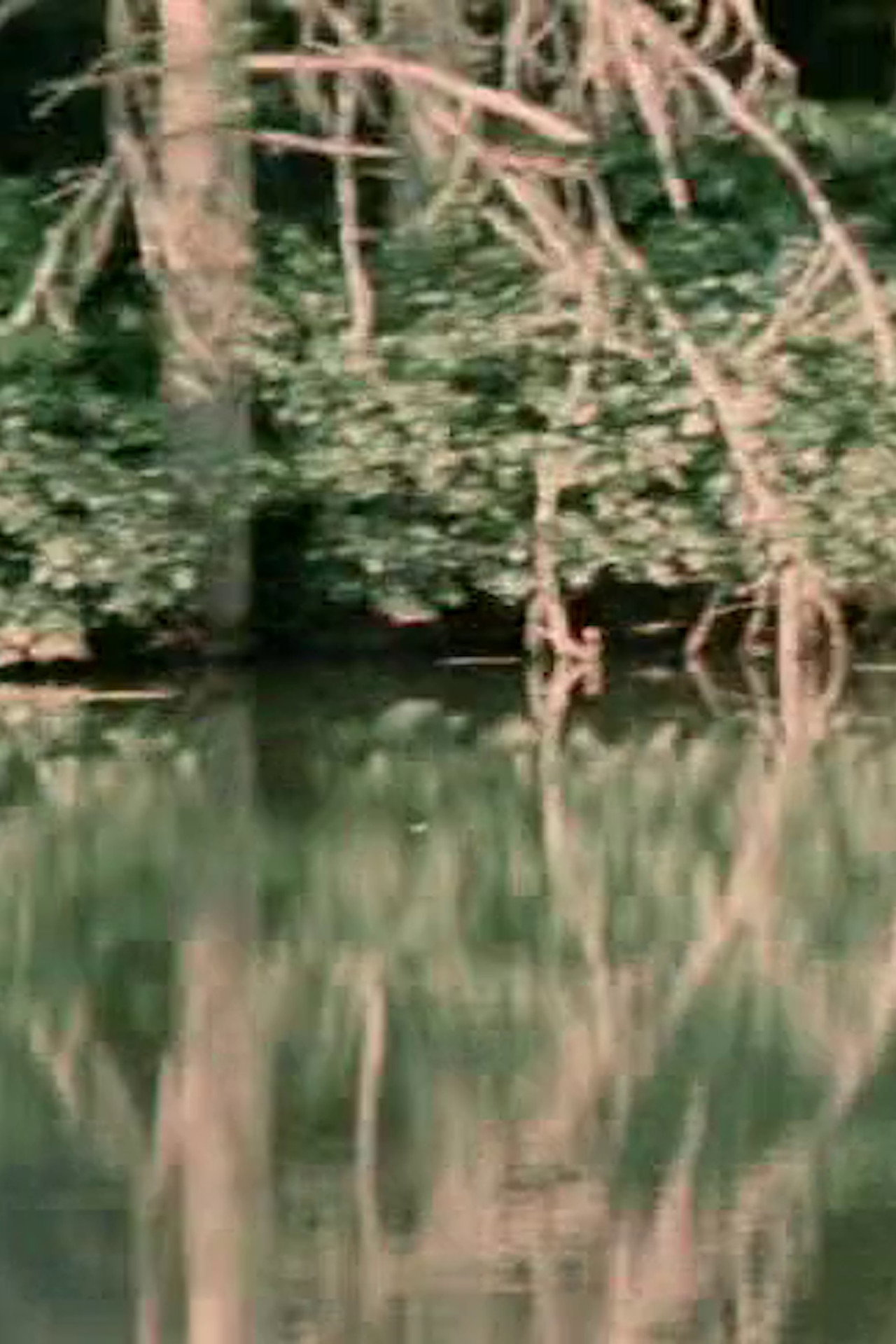 Porter Springs 3 filmaffisch