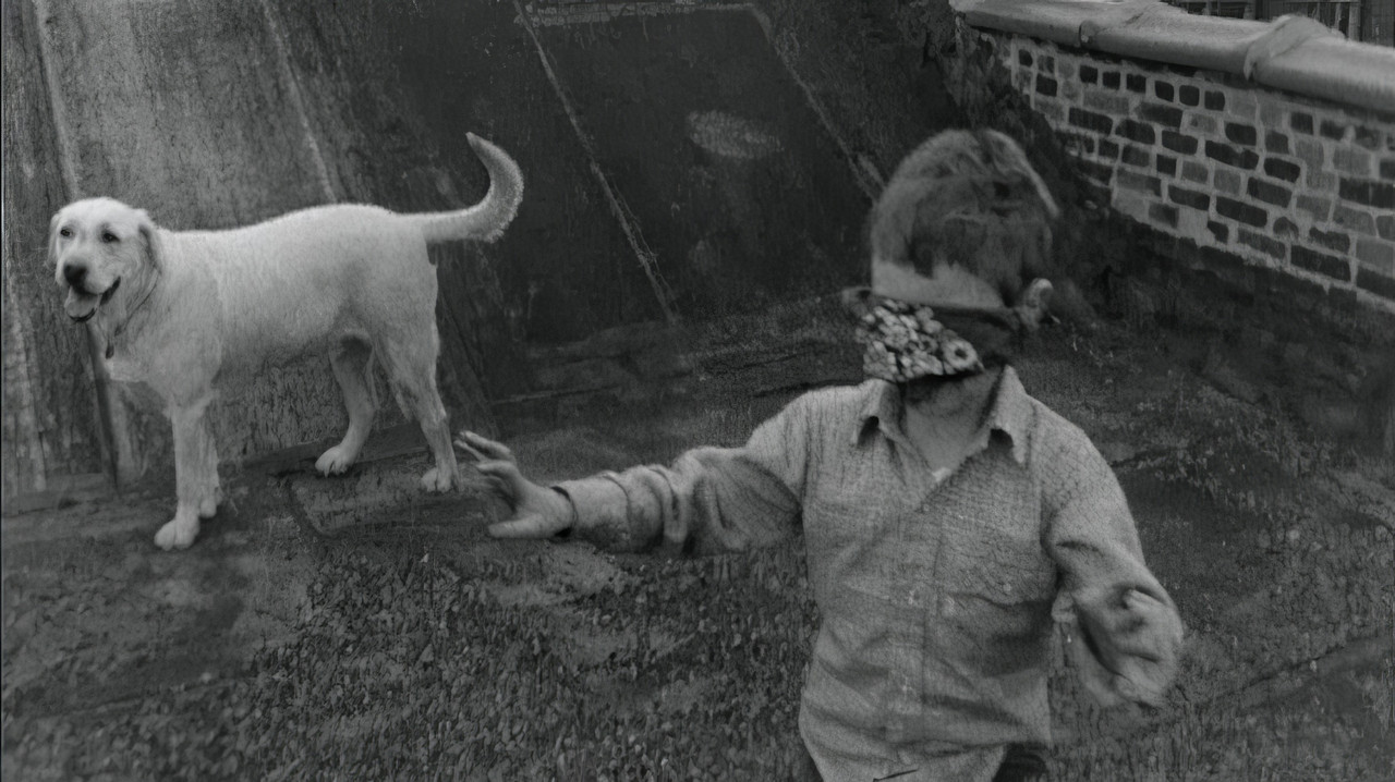Born to Film