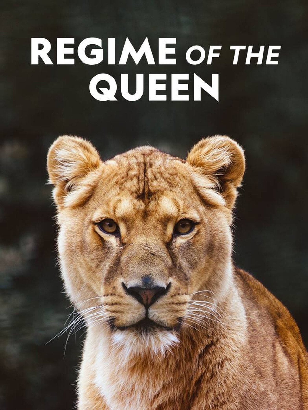 Regime of the Queen filmaffisch