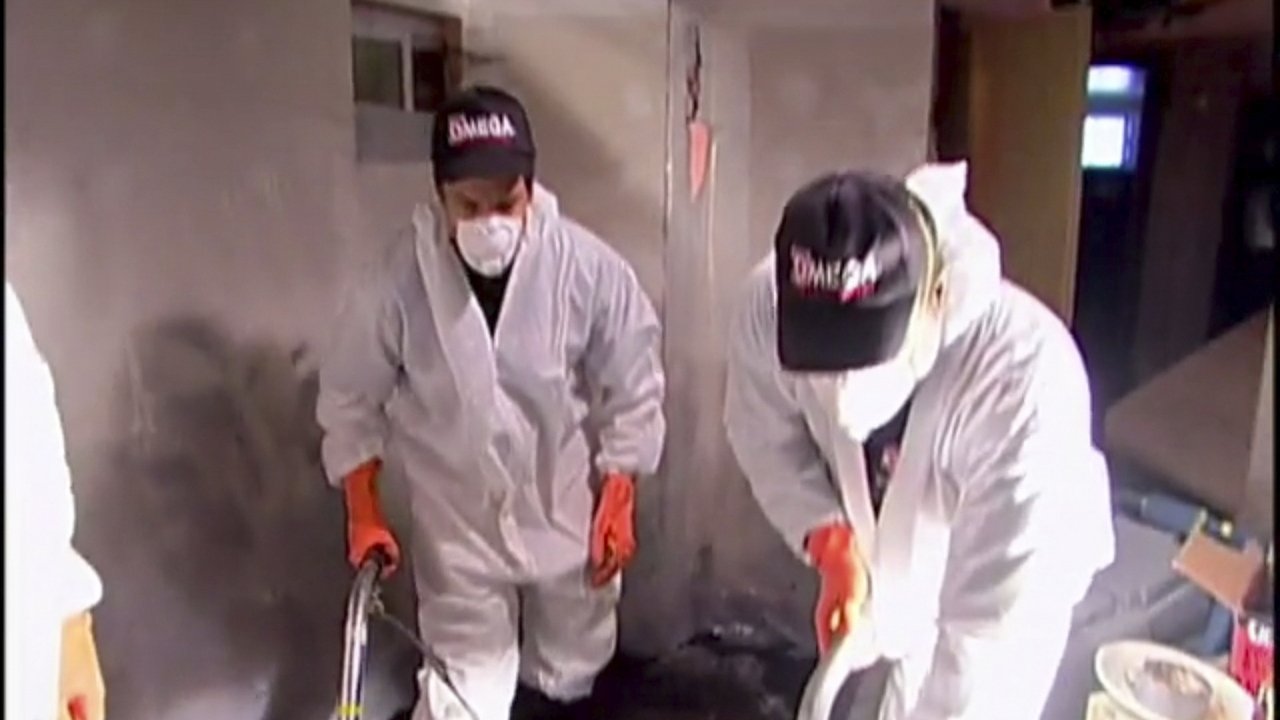 Trabalho Sujo backdrop