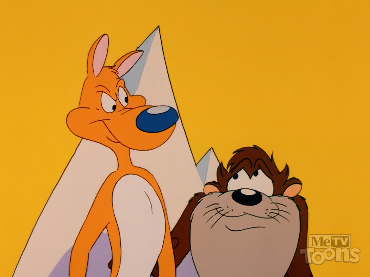Taz Like Dingo