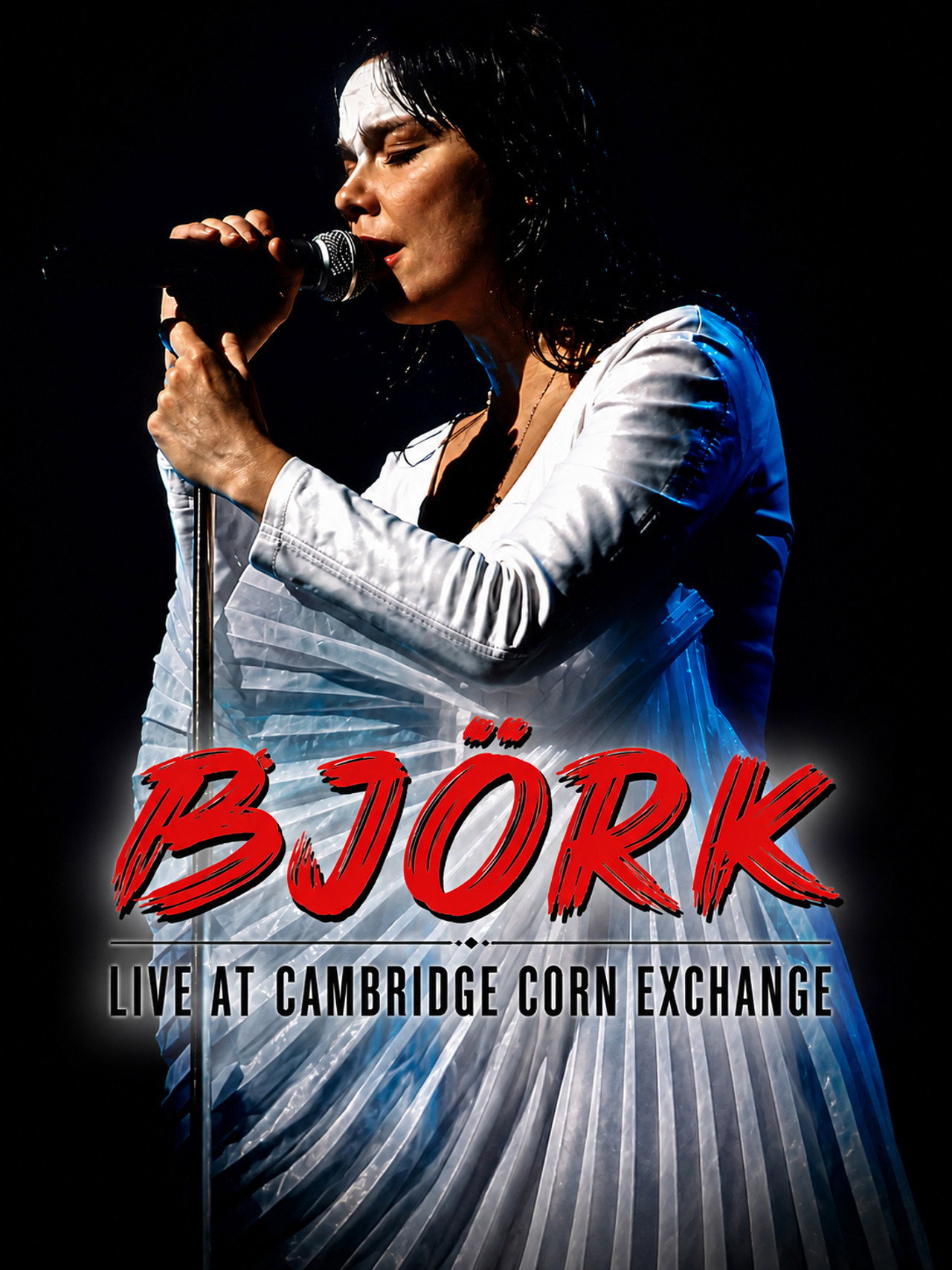 Björk: Cambridge 1998 poster