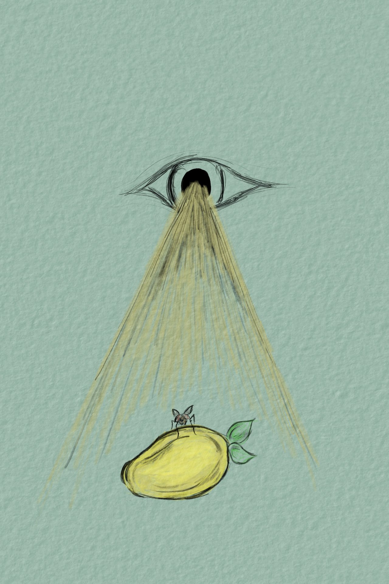 To Be A Fly On Your Mango To Be A Fly On Your Mango