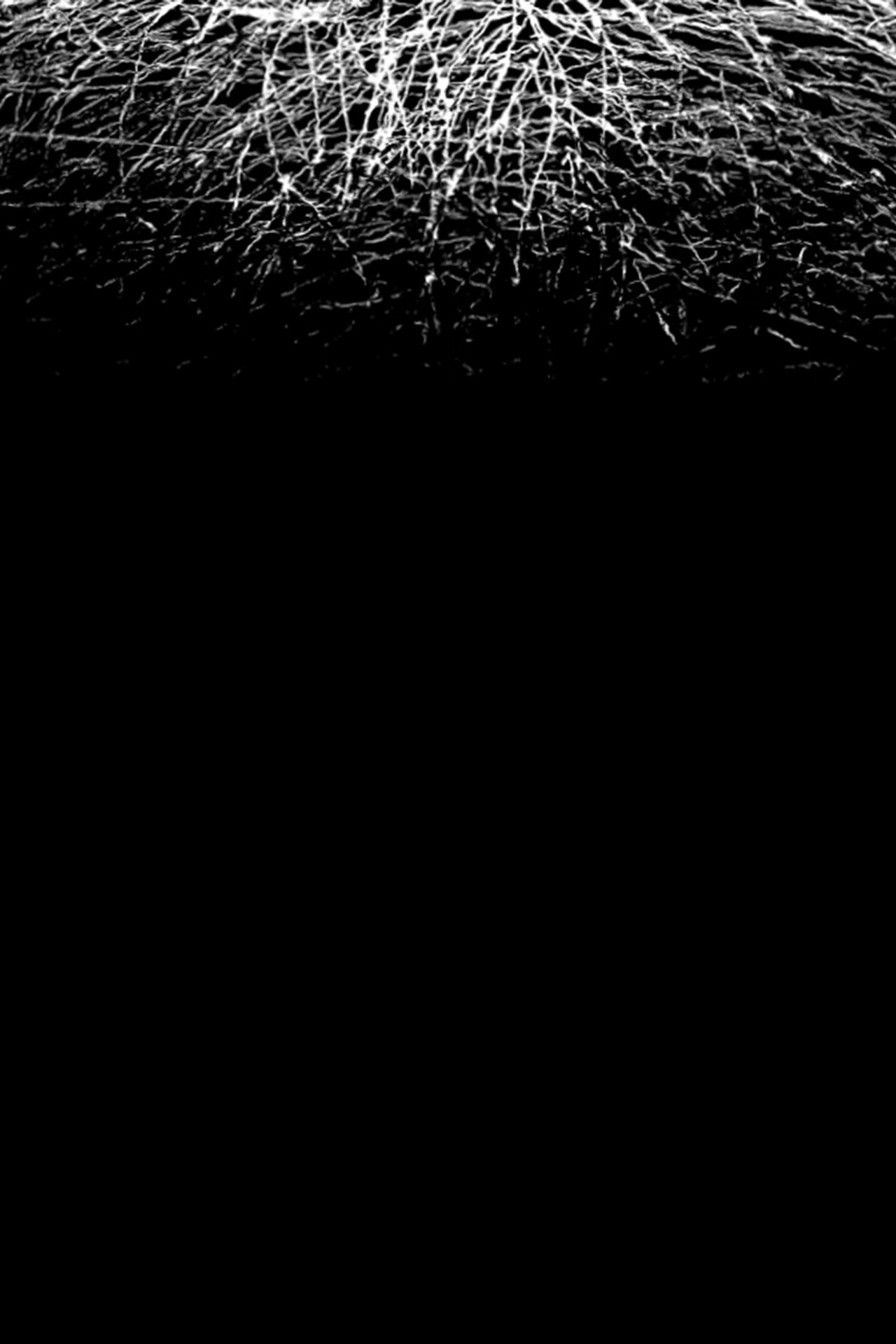 For When I Think, There is This Heaviness That I Would Rather You Not Carry