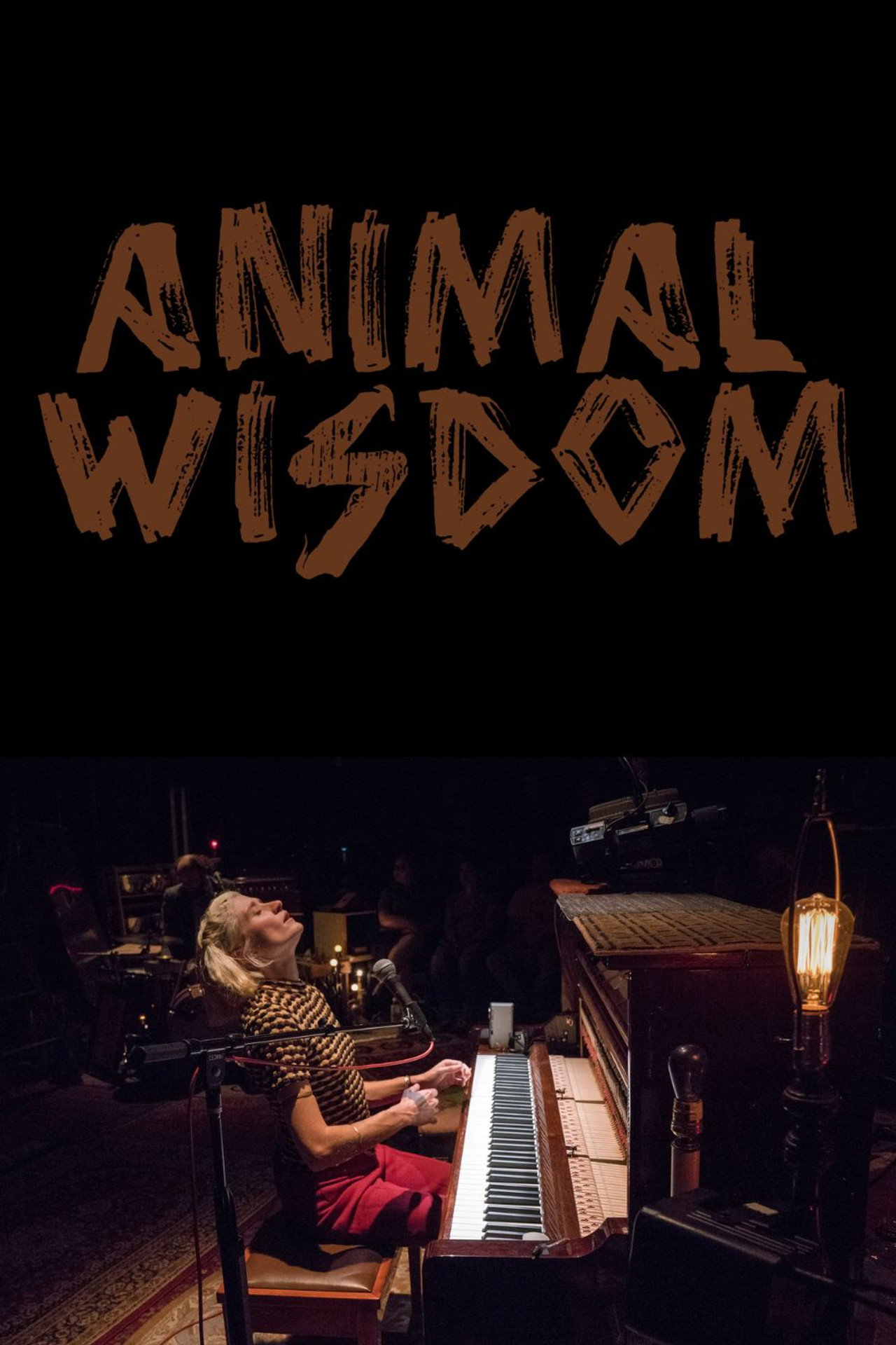 Animal Wisdom filmaffisch