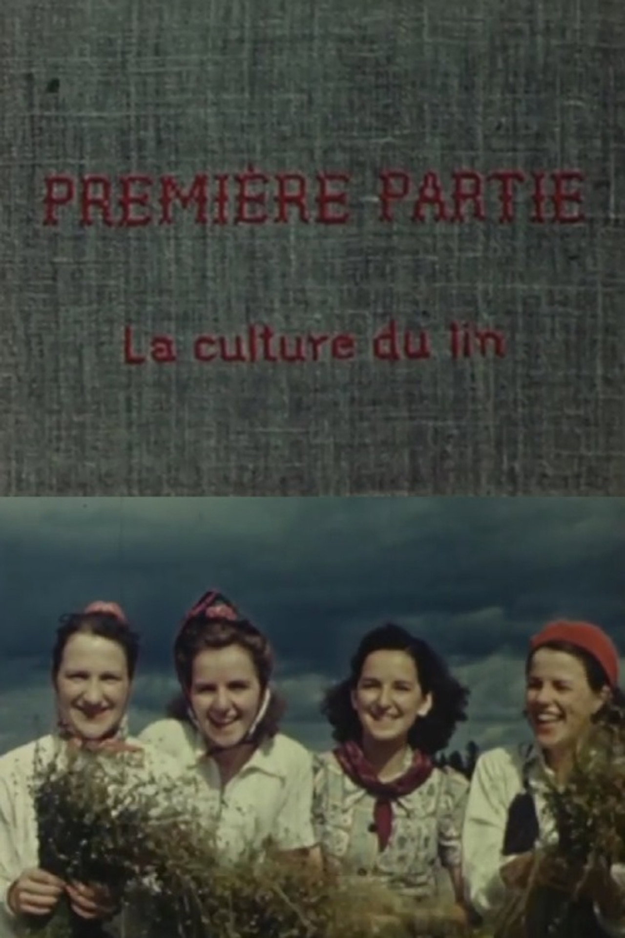 Flax from Canada - Part One: Growing Flax poster