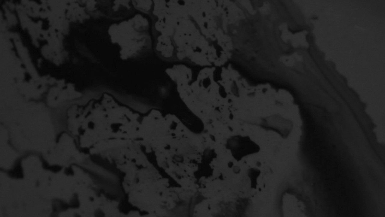 Je peux pas supporter l'éteinte da le douceur dans ce monde