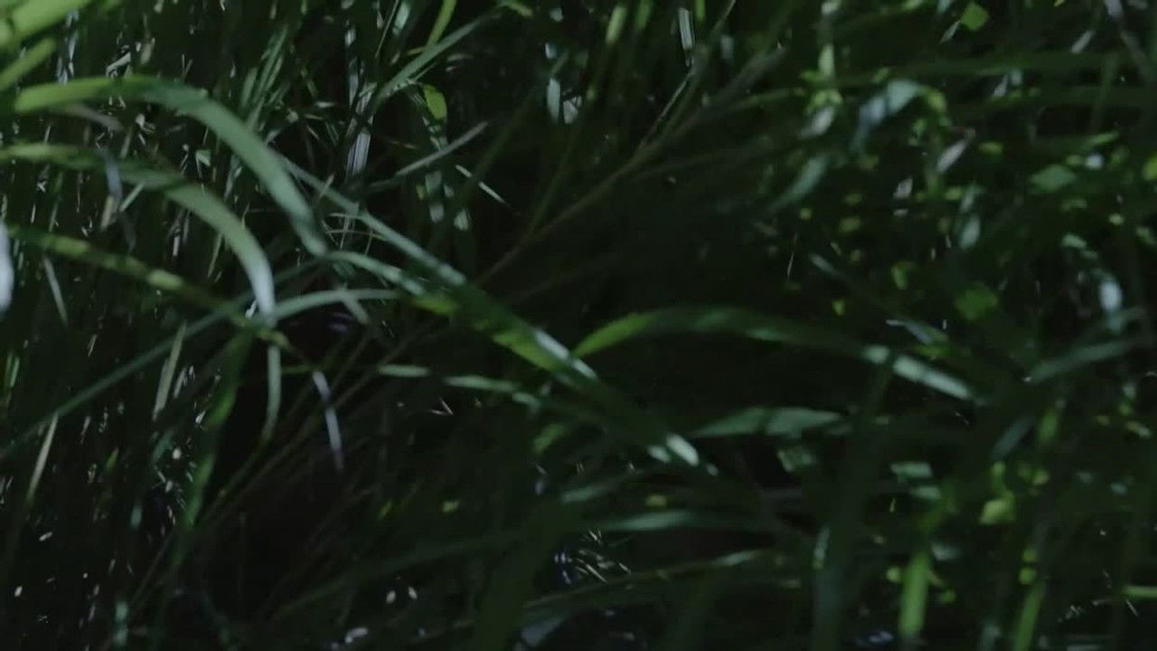 枪口 — Épisode 15