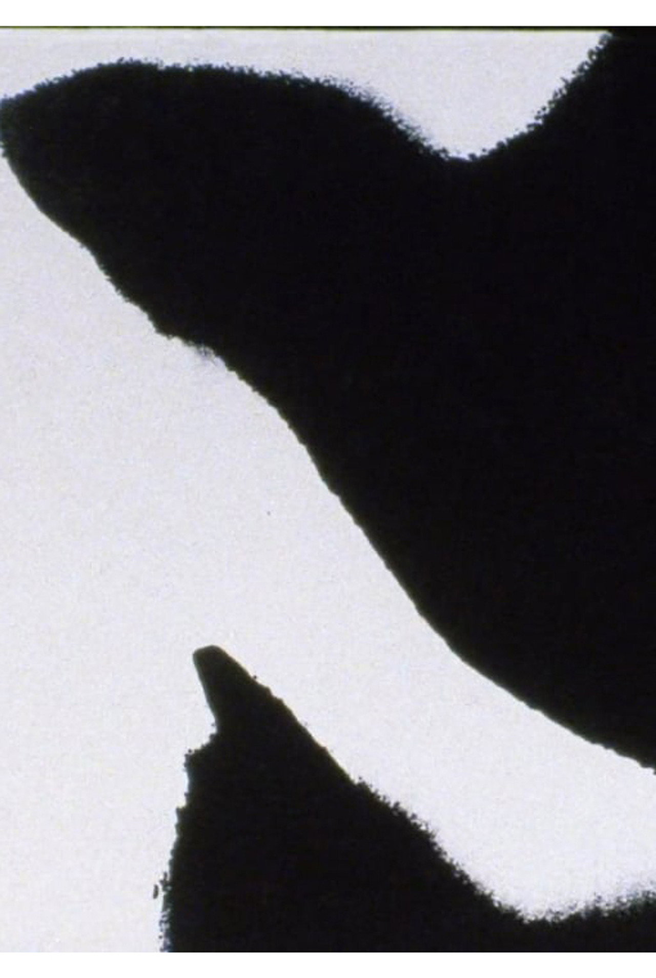 Errata filmaffisch