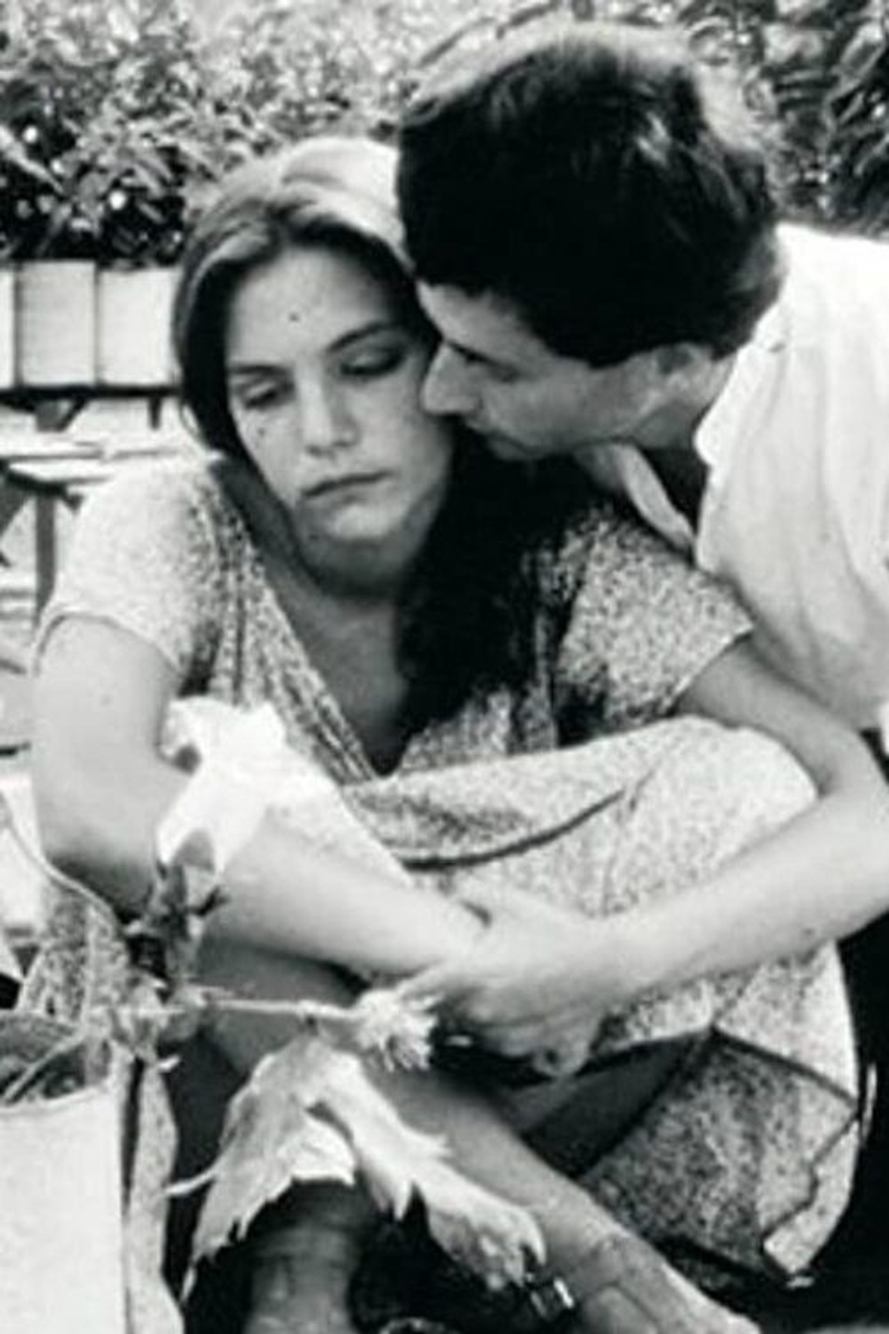 Ομίχλη κάτω απ' τον ήλιο filmaffisch