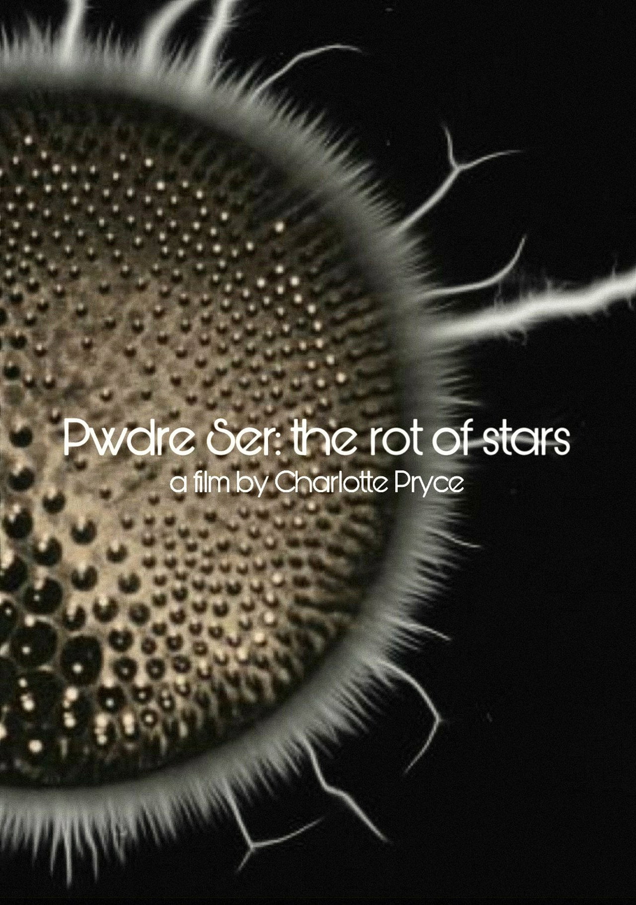 Pwdre Ser: the rot of stars filmaffisch
