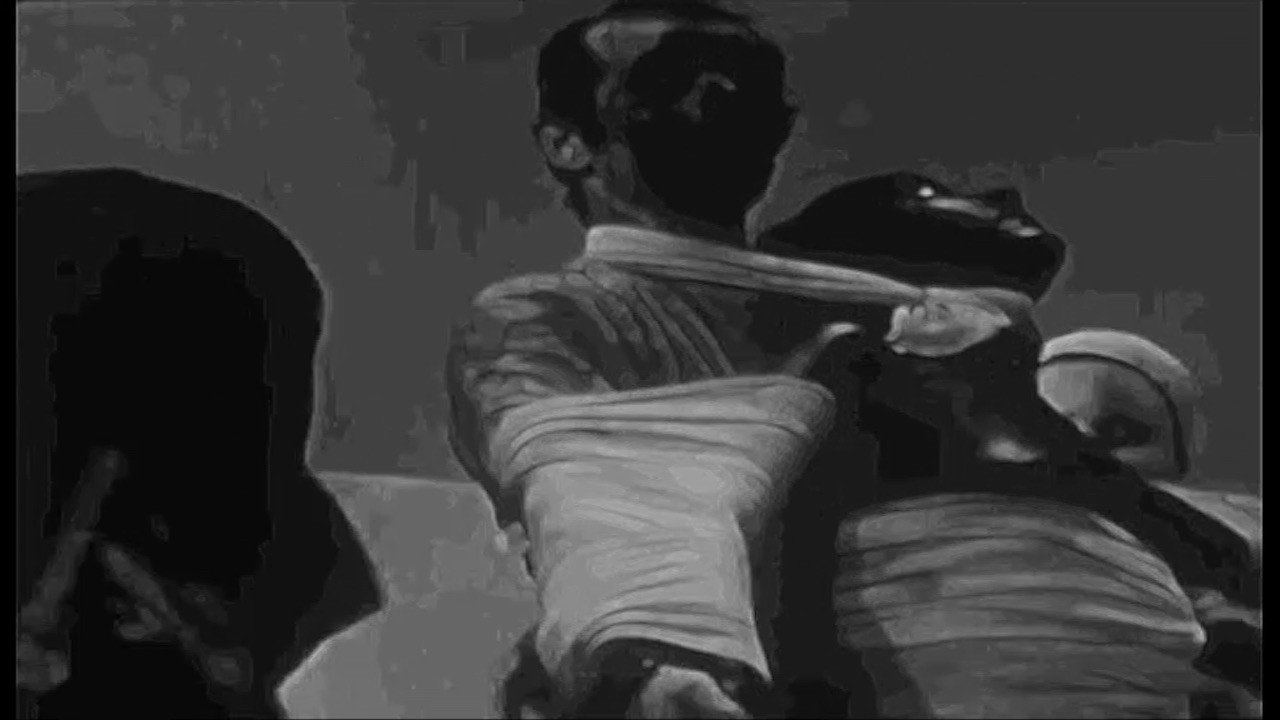 Fondo