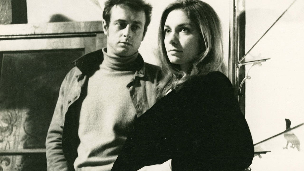 Moos auf den Steinen