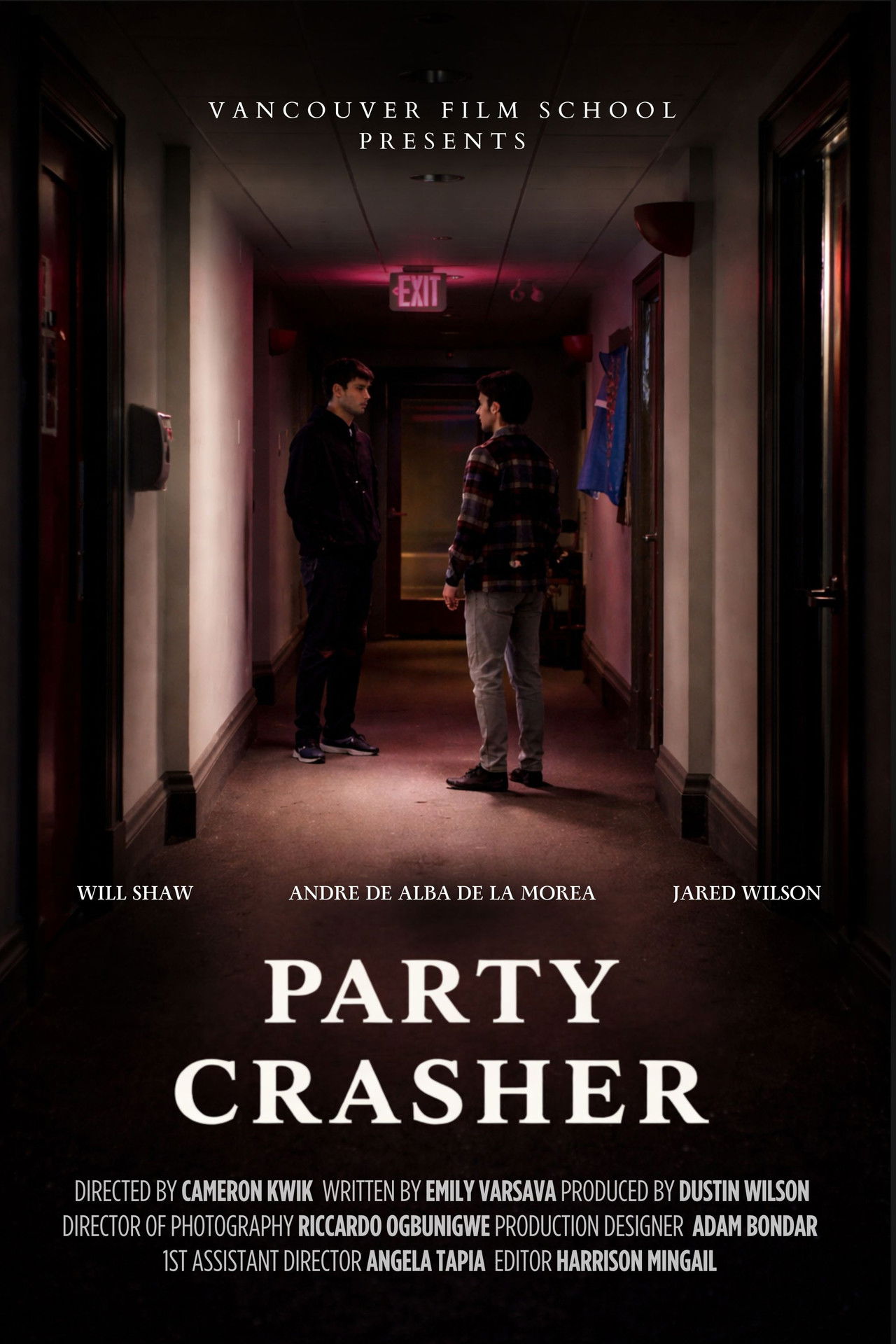 Party Crasher Backdrop