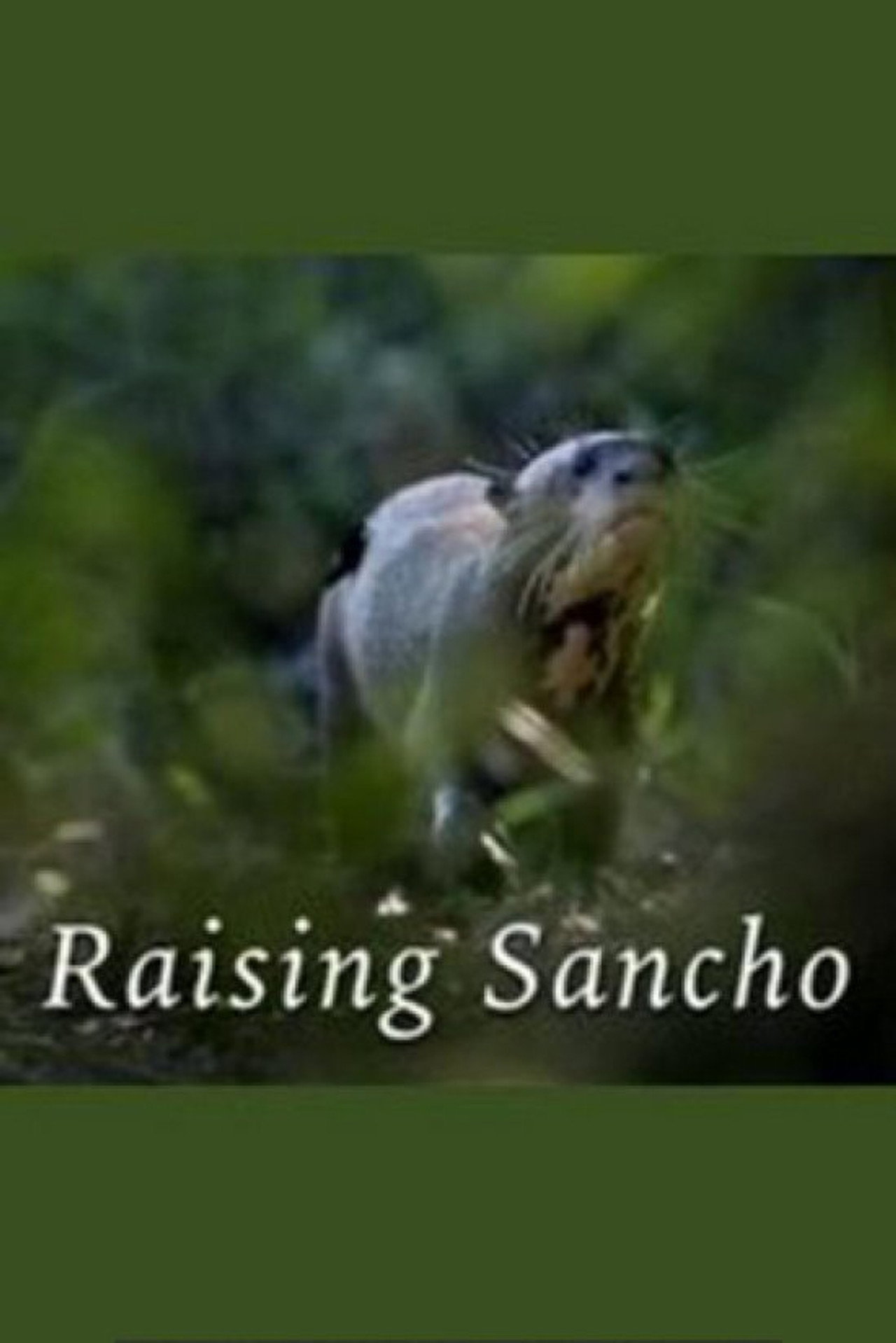 Raising Sancho filmaffisch