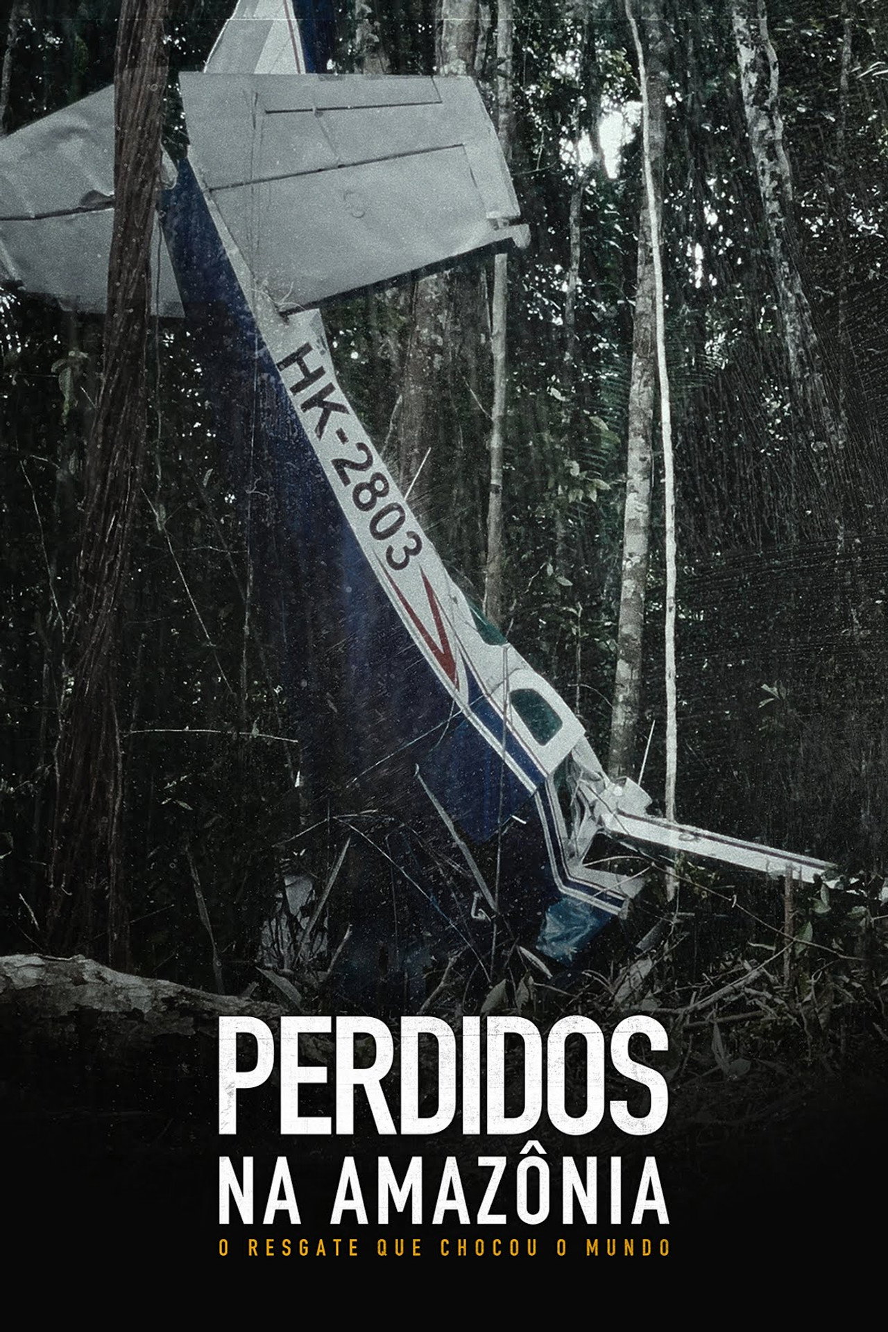 Lost in the Amazon: The Rescue That Shocked the World filmaffisch