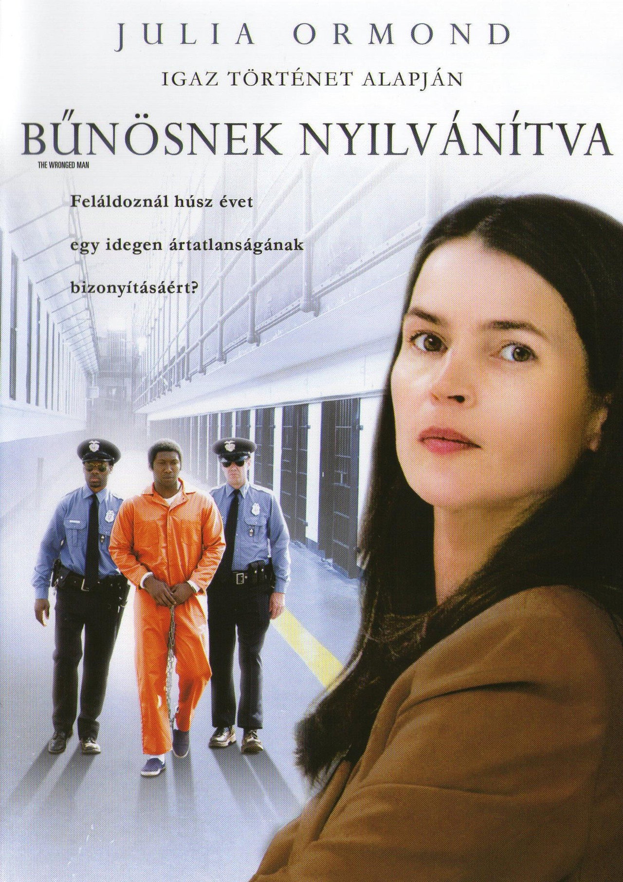 Bűnösnek nyilvánítva – plakát 6