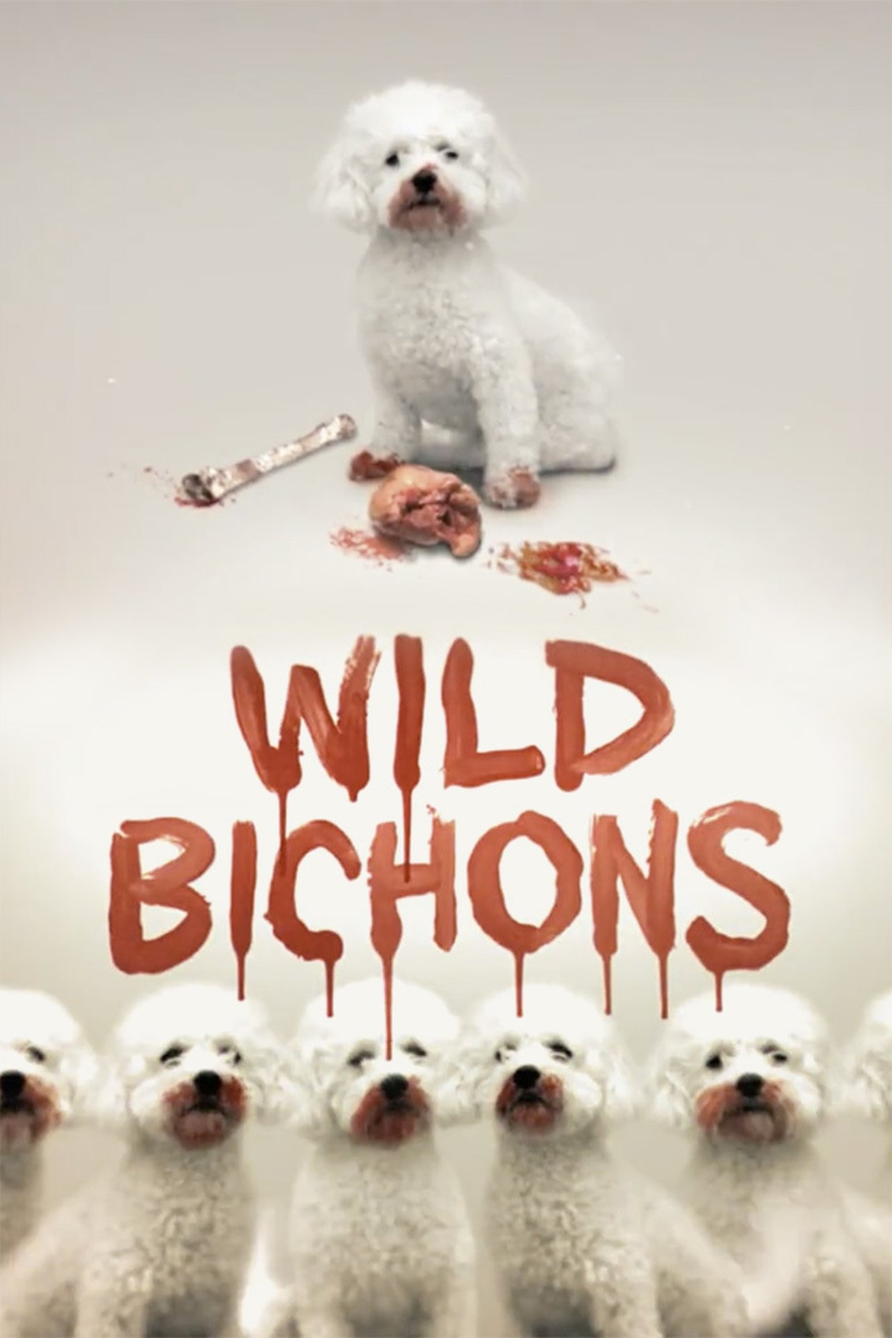 مشاهدة فيلم Wild Bichons مترجم بدون اعلانات - بوستر