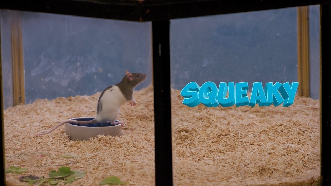 مشاهدة فيلم Squeaky the Rat مترجم بدون اعلانات - خلفية
