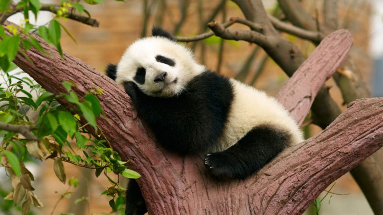 La ligne bleue Outre-mer — Saint-Pierre-et-Miquelon, la force de l'océan