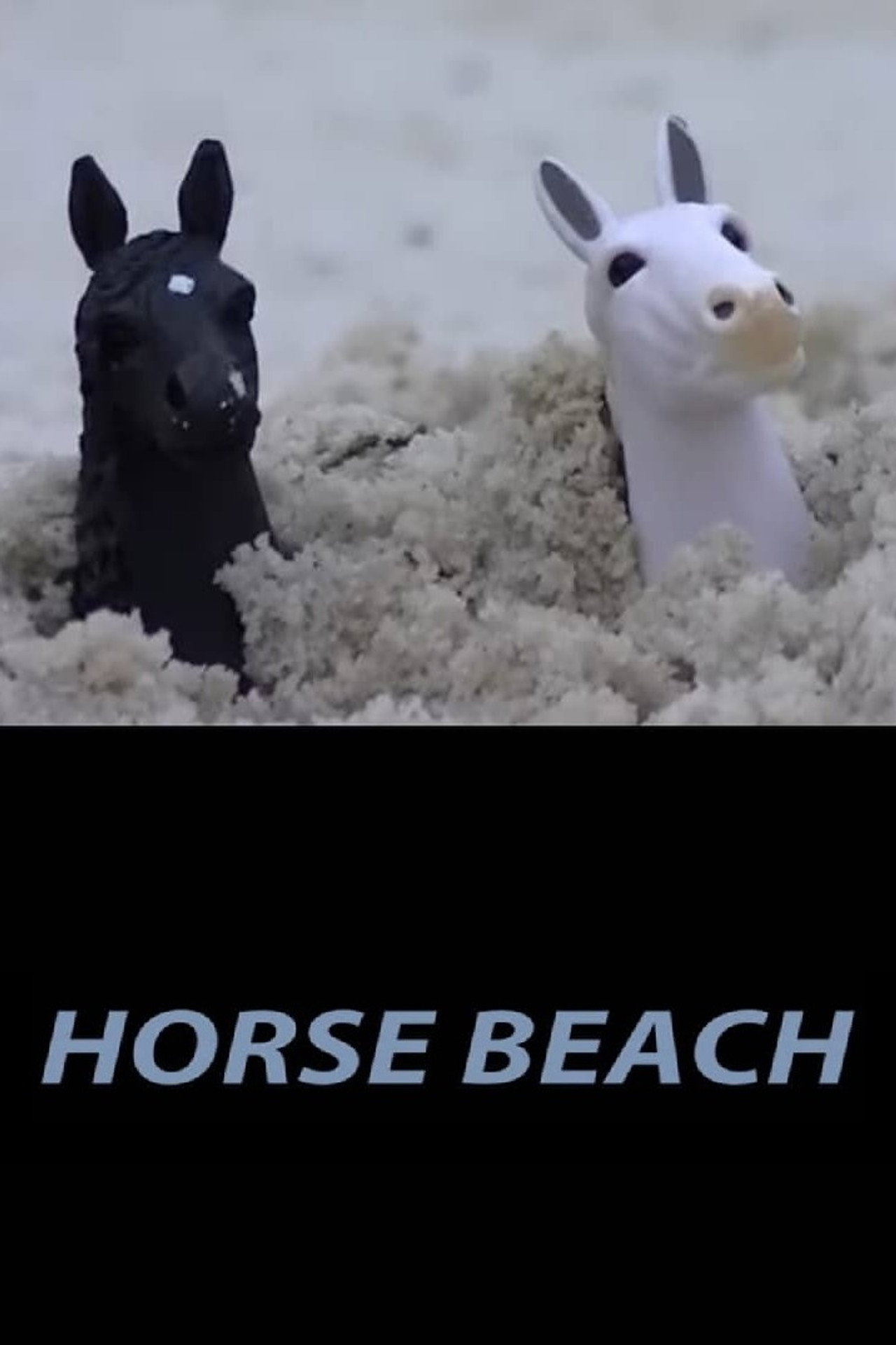 Horse Beach Backdrop
