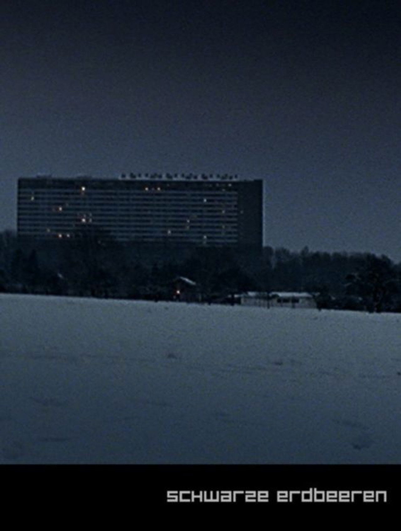 Schwarze Erdbeeren Backdrop