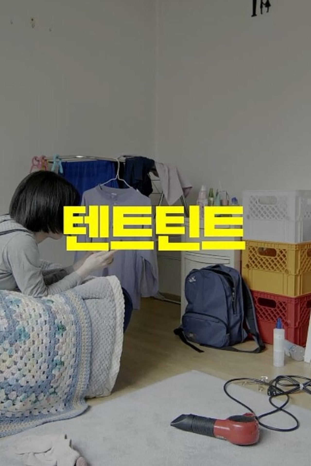 텐트틴트 텐트틴트