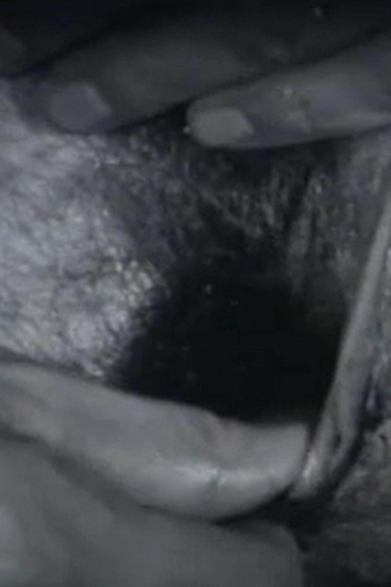 Black Balls Backdrop