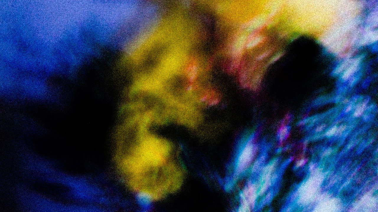 Flowers (II) still 3