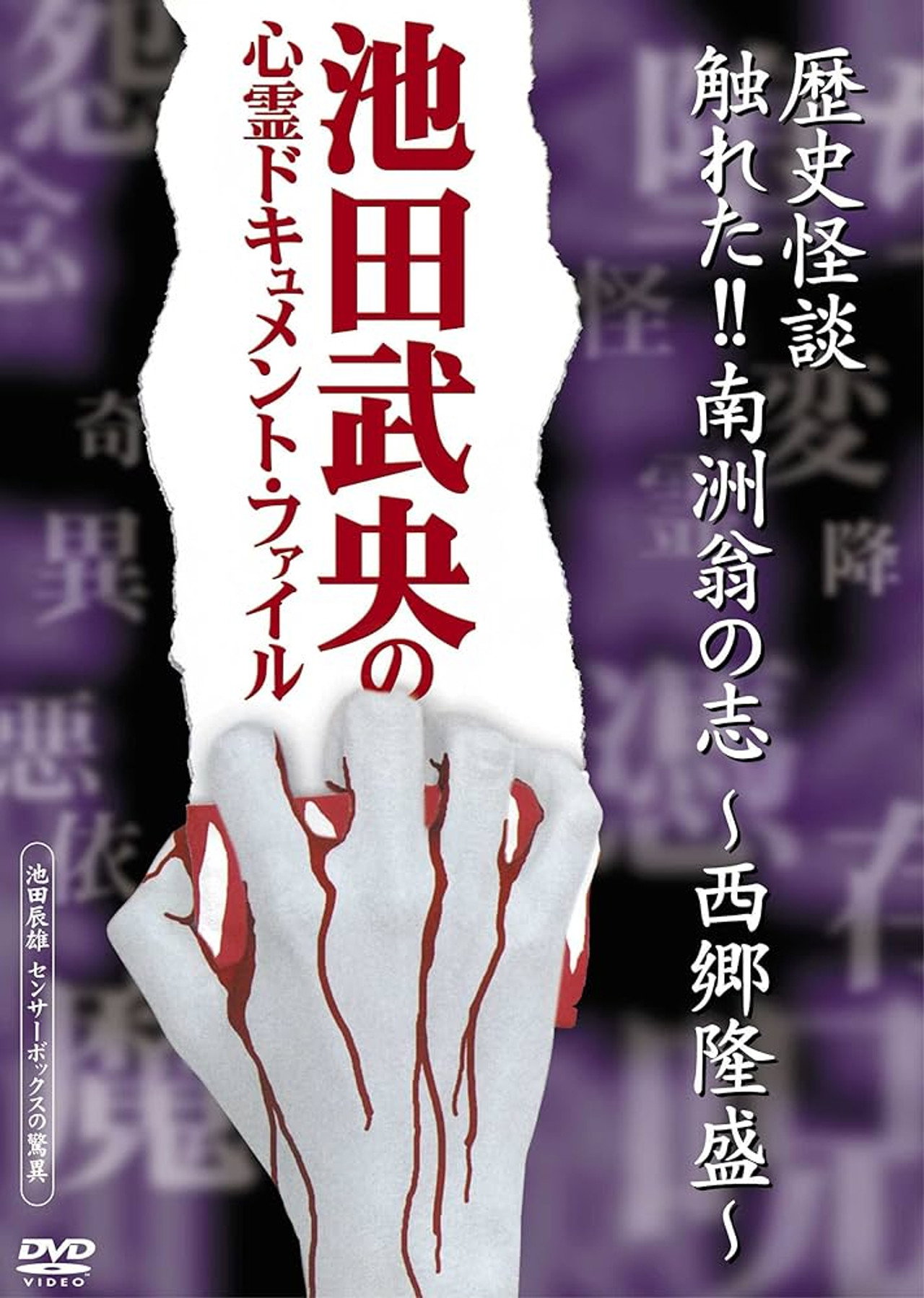 Rekishi Kaidan Fureta!! Nanshū-ō no Kokorozashi - Saigō Takamori - Backdrop