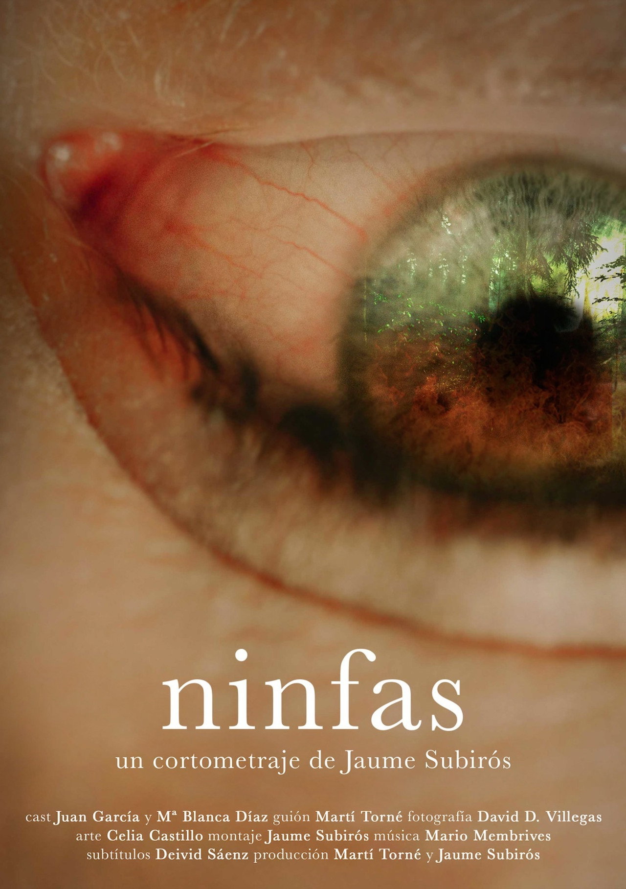 Ninfas filmaffisch
