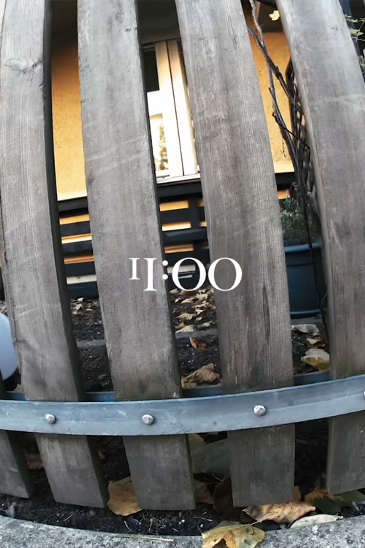 Jante - 11:00 Backdrop