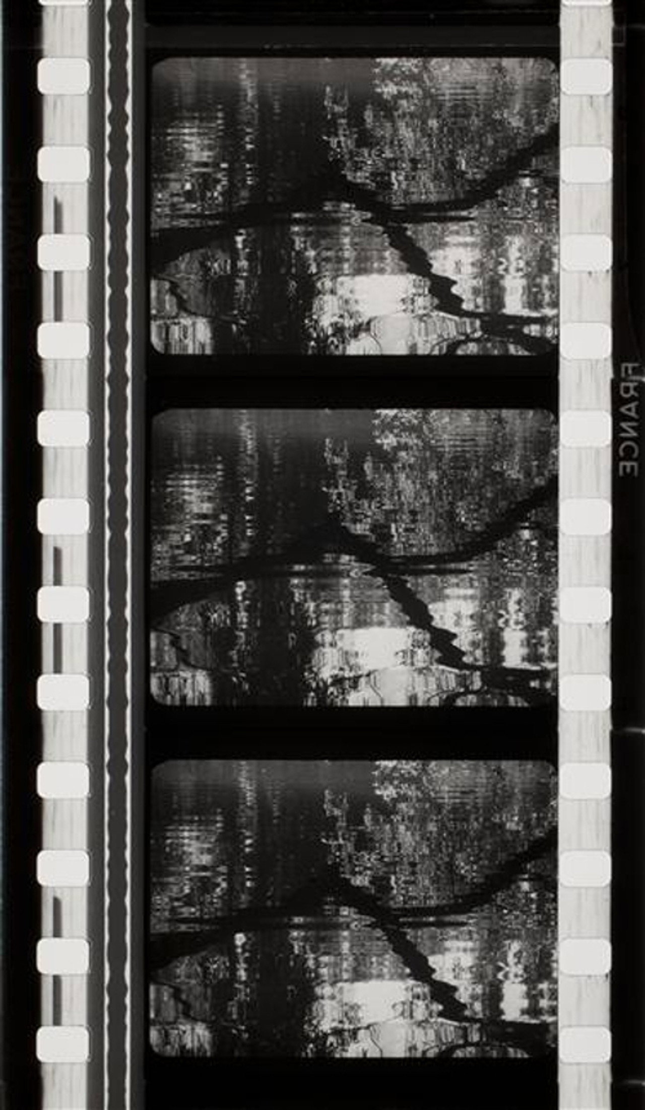 Images pour Debussy filmaffisch